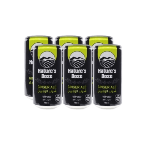 Nature's Dose Ginger Drink 180ml - 6 Cans